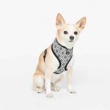 Petsleisure Pet Collars & Harnesses